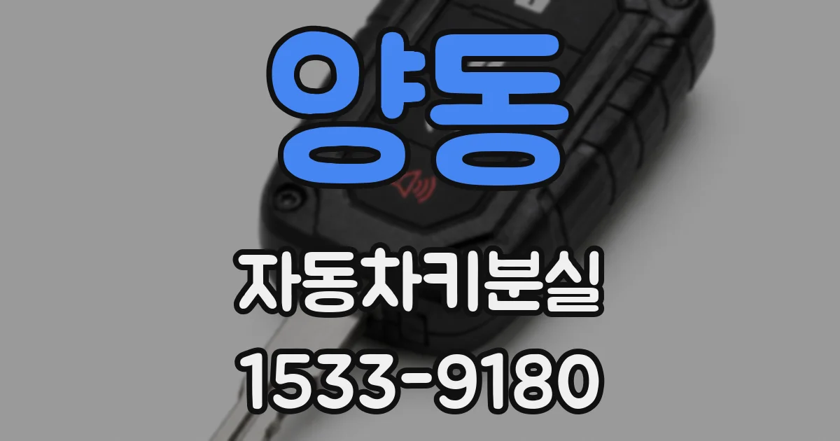 양동 자동차키분실