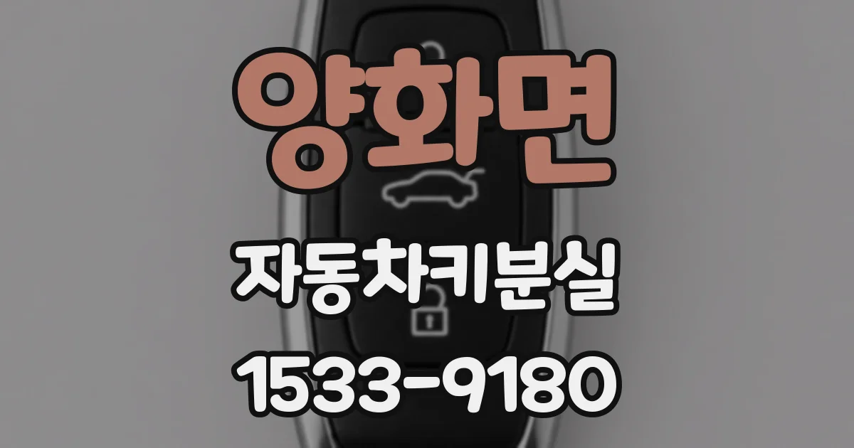 양화면 자동차키분실