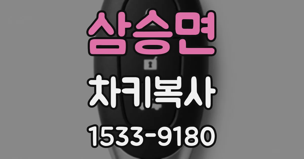 삼승면 차키복사