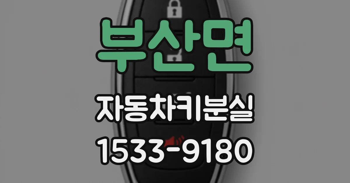 부산면 자동차키분실