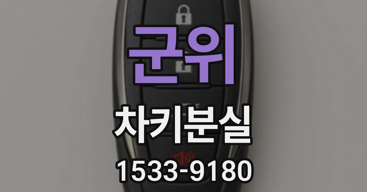 군위 차키분실