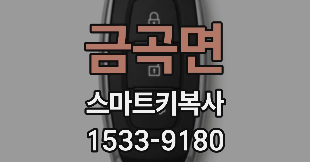 금곡면 스마트키복사