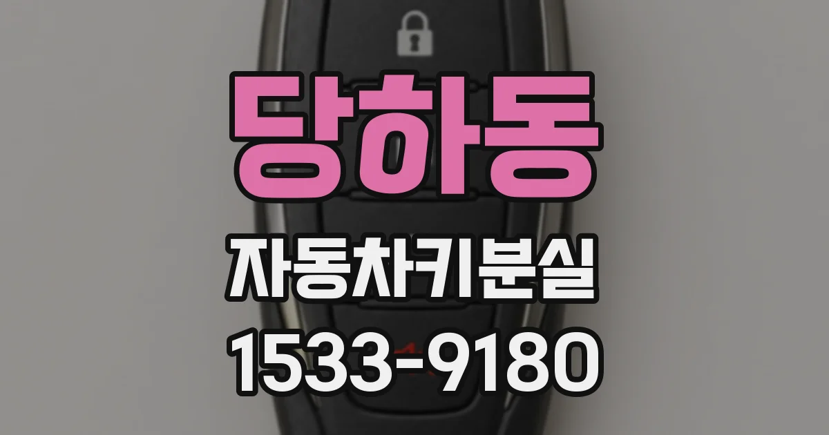 당하동 자동차키분실