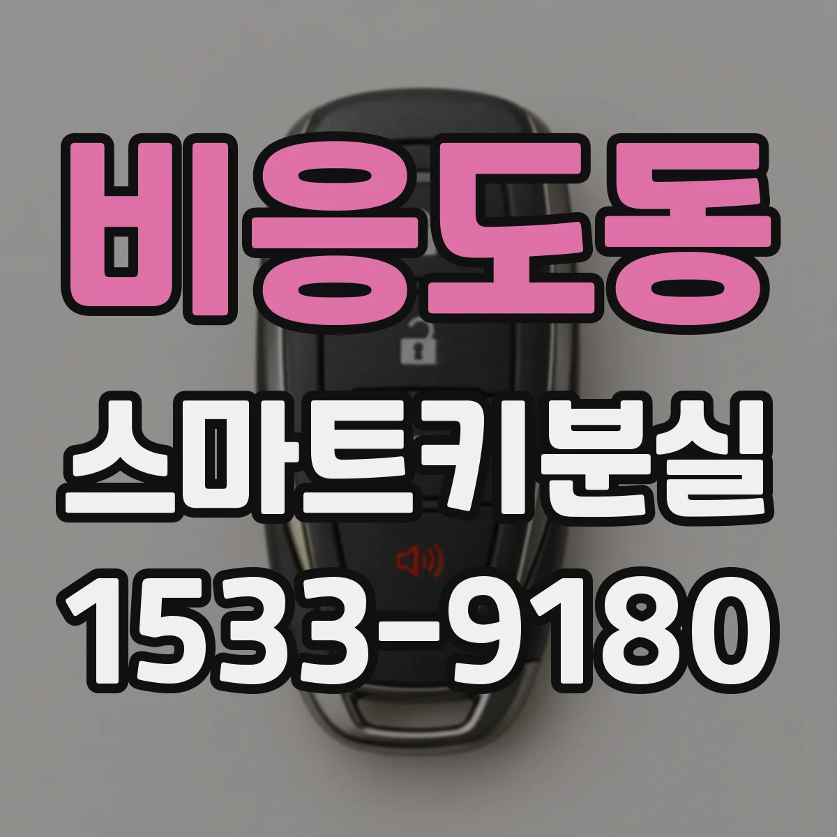 비응도동 스마트키분실