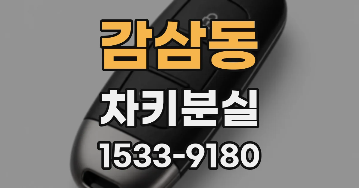 감삼동 차키분실