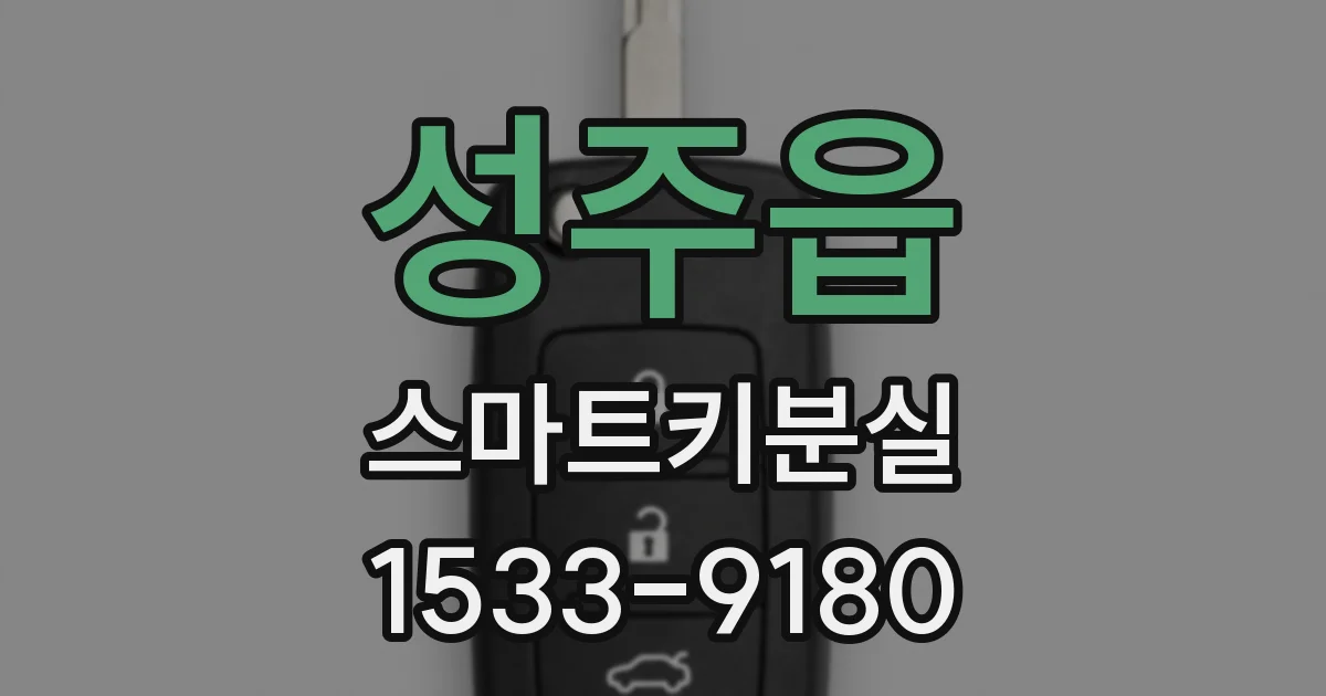 성주읍 스마트키분실