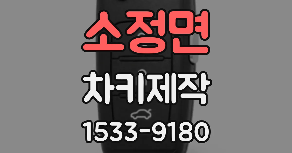 소정면 차키제작