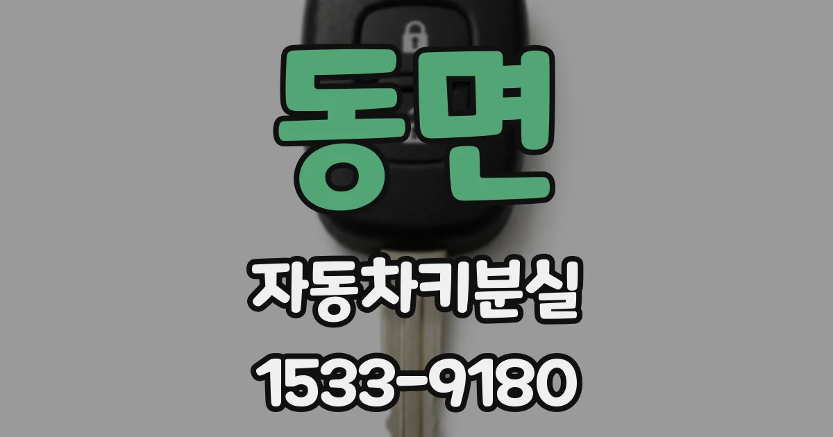동면 자동차키분실