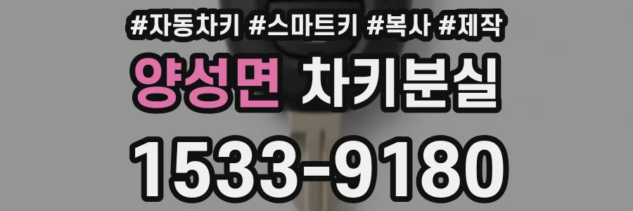 양성면 차키분실