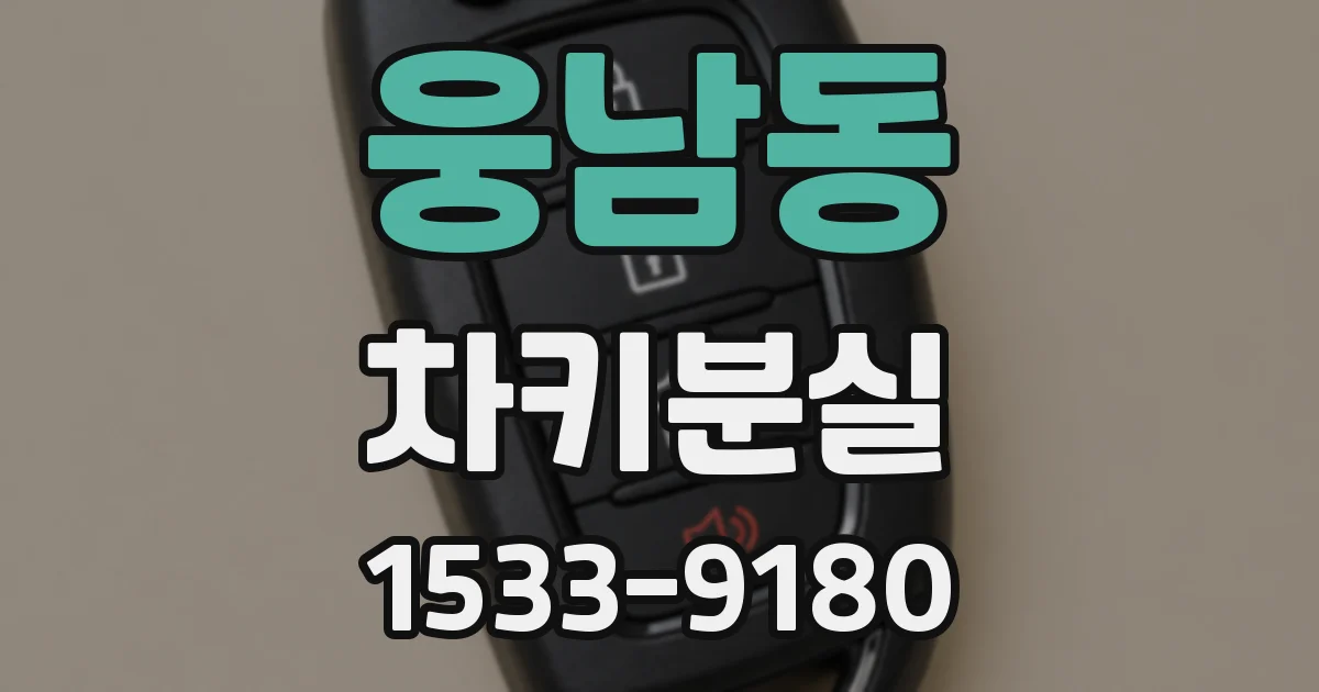 웅남동 차키분실