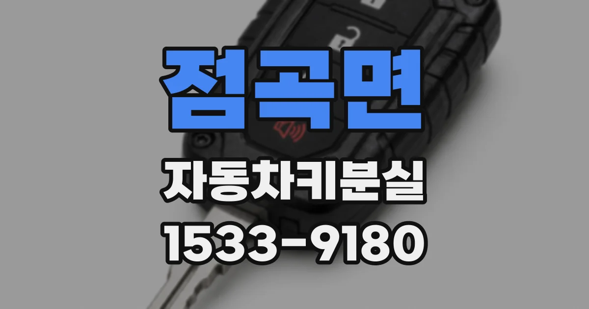 점곡면 자동차키분실
