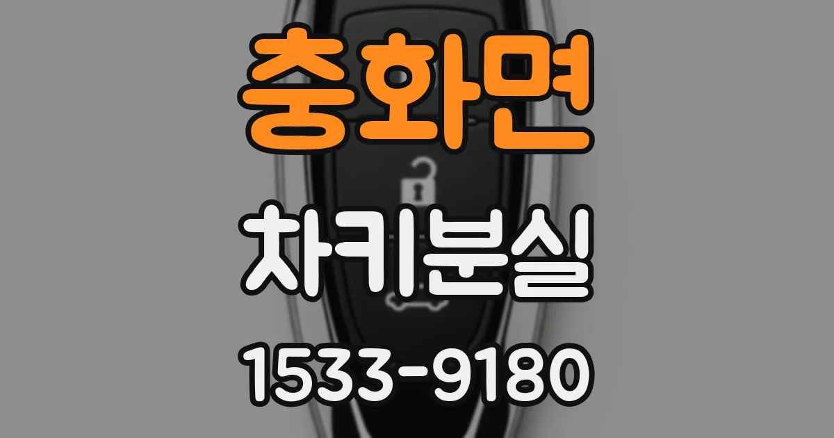 충화면 차키분실
