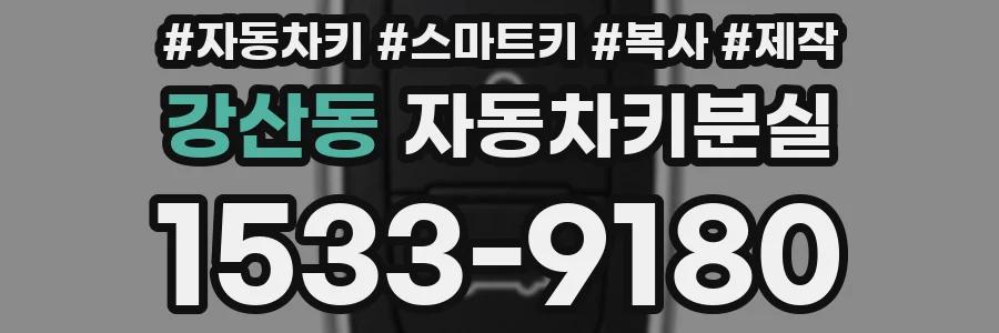 강산동 자동차키분실