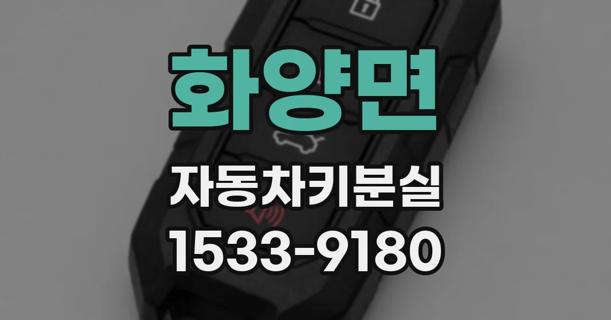 화양면 자동차키분실