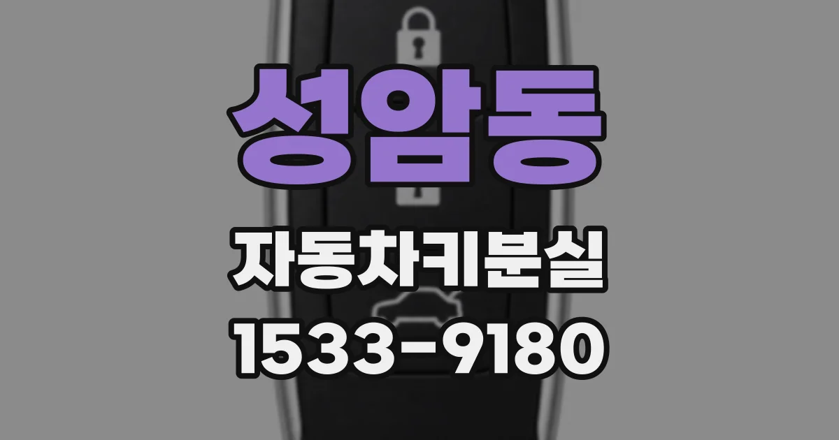 성암동 자동차키분실