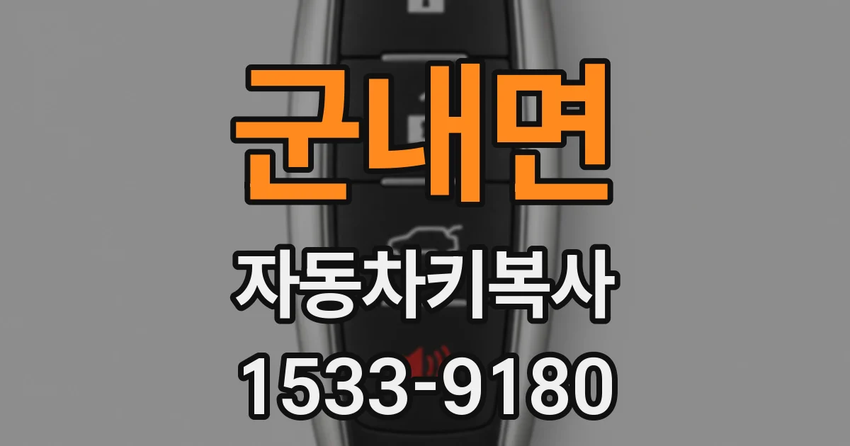 군내면 자동차키복사