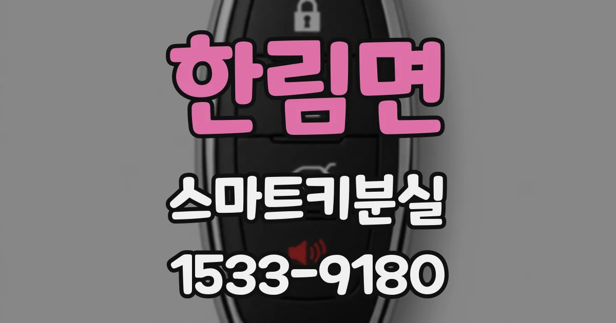 한림면 스마트키분실