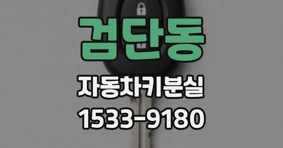 검단동 자동차키분실