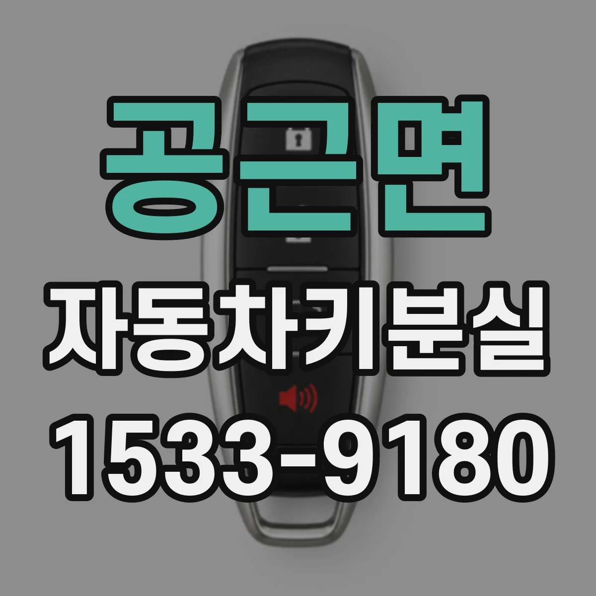 공근면 자동차키분실