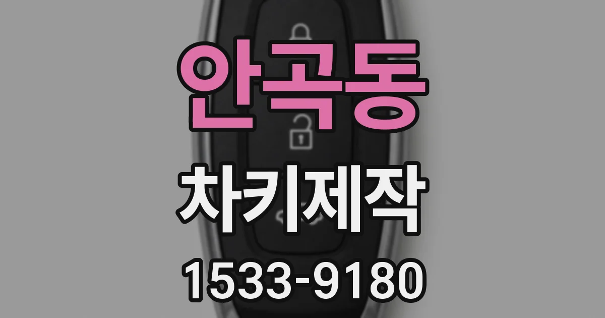 안곡동 차키제작