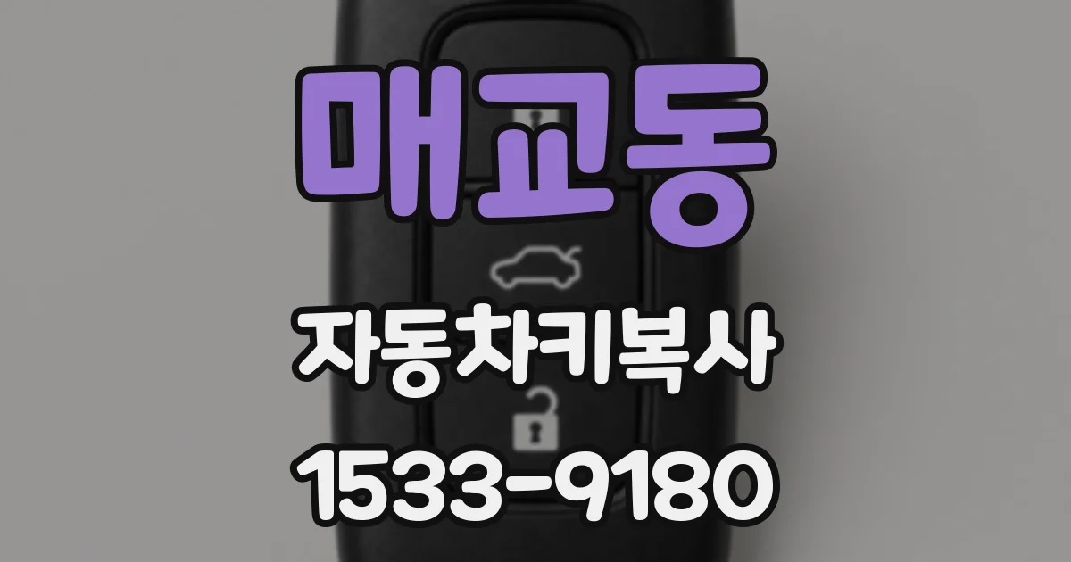 매교동 자동차키복사