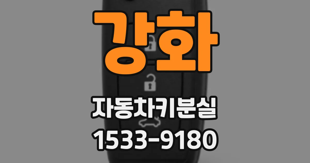 강화 자동차키분실