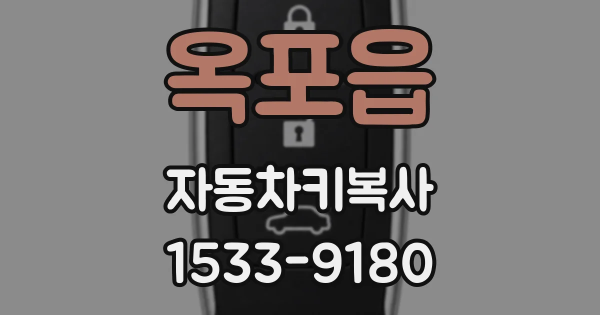 옥포읍 자동차키복사