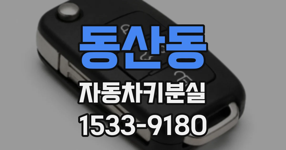 동산동 자동차키분실
