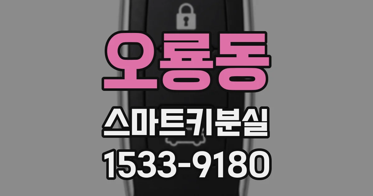 오룡동 스마트키분실