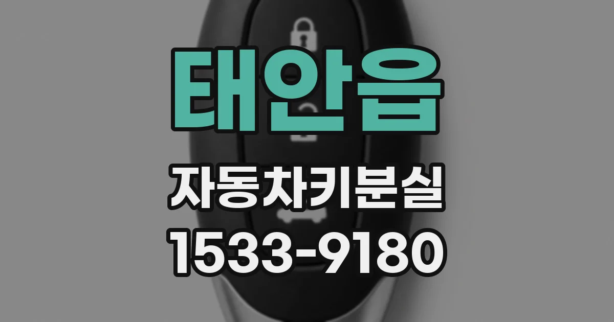 태안읍 자동차키분실