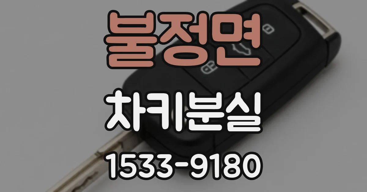 불정면 차키분실