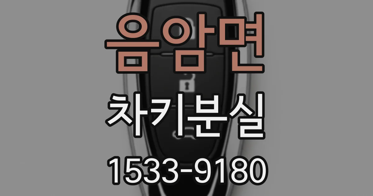 음암면 차키분실