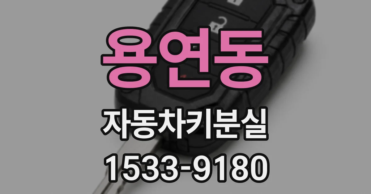 용연동 자동차키분실