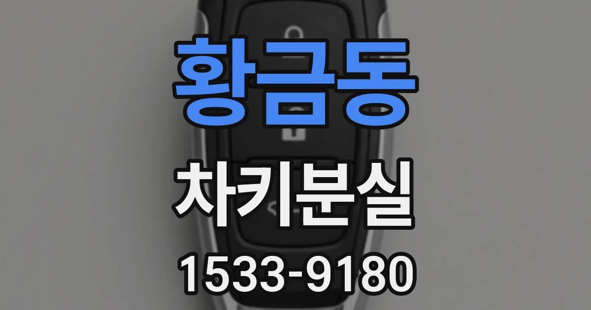 황금동 차키분실
