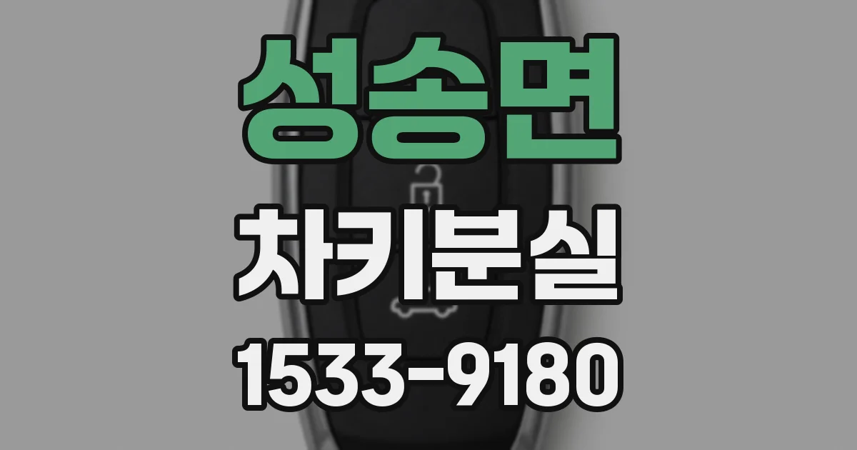 성송면 차키분실