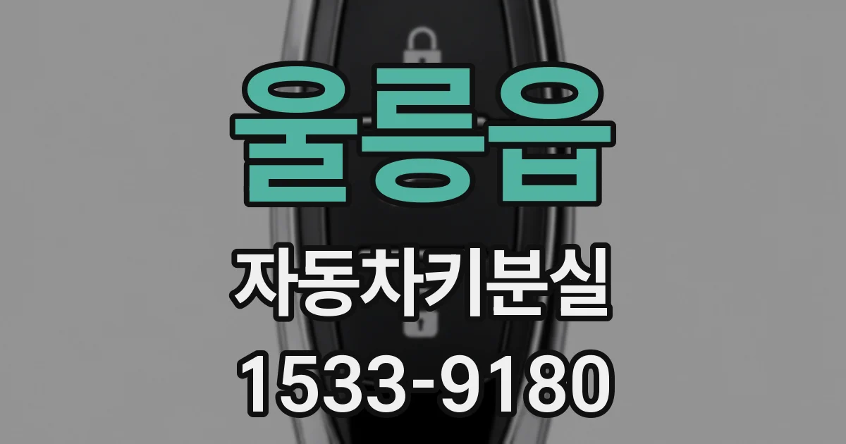 울릉읍 자동차키분실
