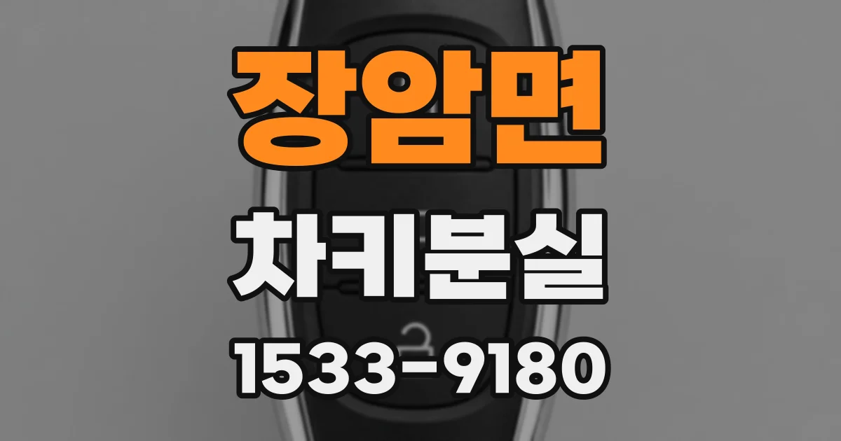 장암면 차키분실