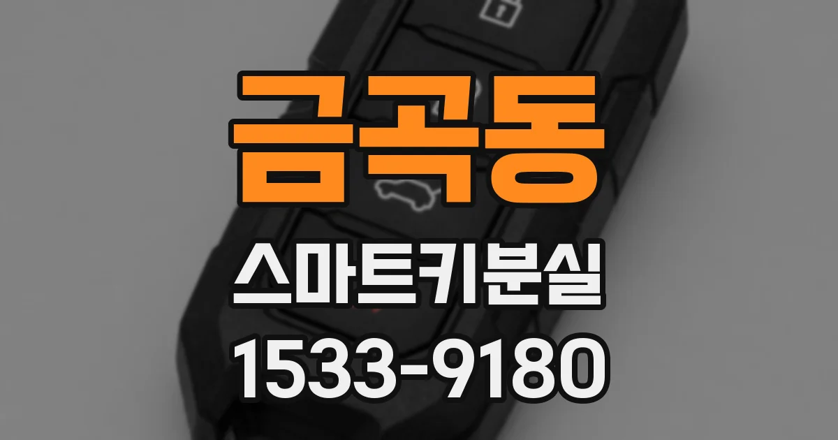 금곡동 스마트키분실