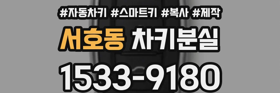 서호동 차키분실