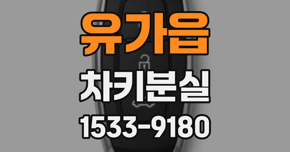 유가읍 차키분실