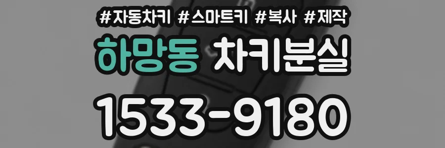 하망동 차키분실