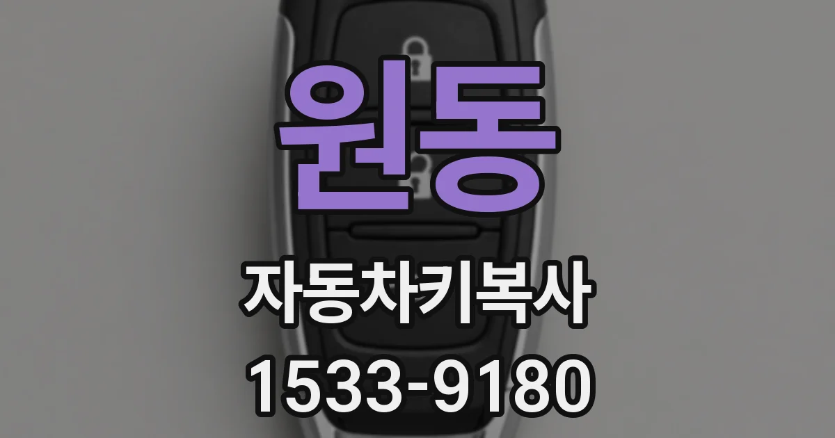 원동 자동차키복사