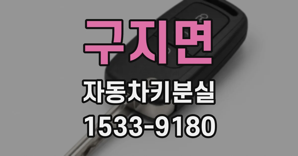 구지면 자동차키분실