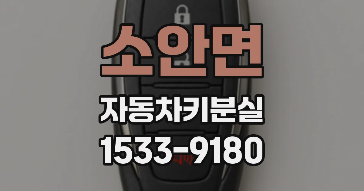 소안면 자동차키분실