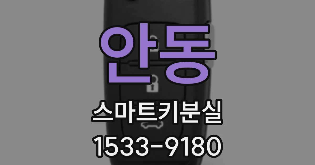 안동 스마트키분실