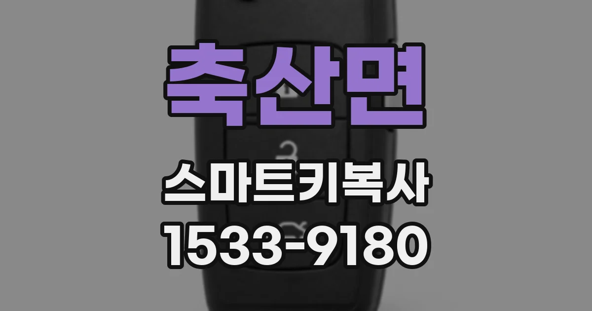 축산면 스마트키복사