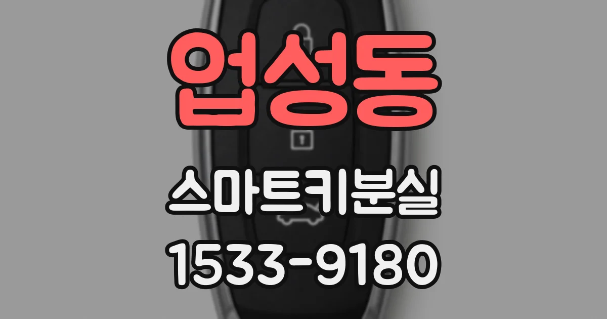 업성동 스마트키분실