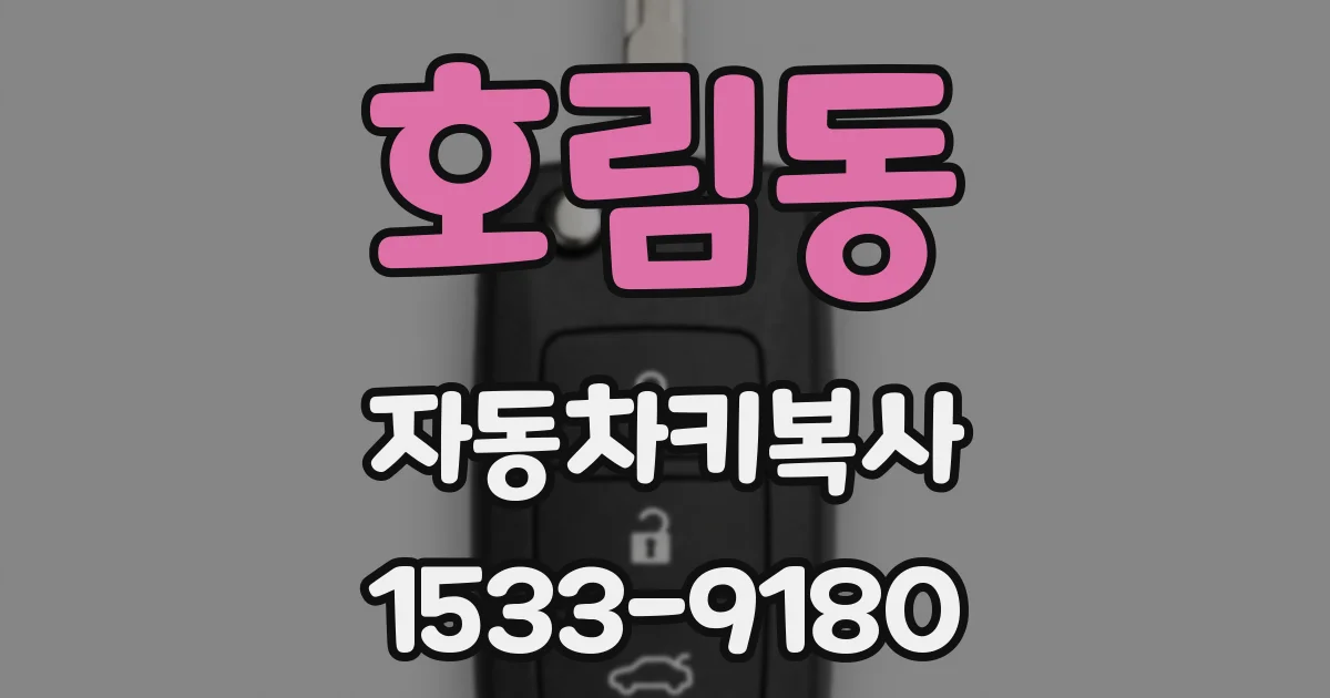 호림동 자동차키복사