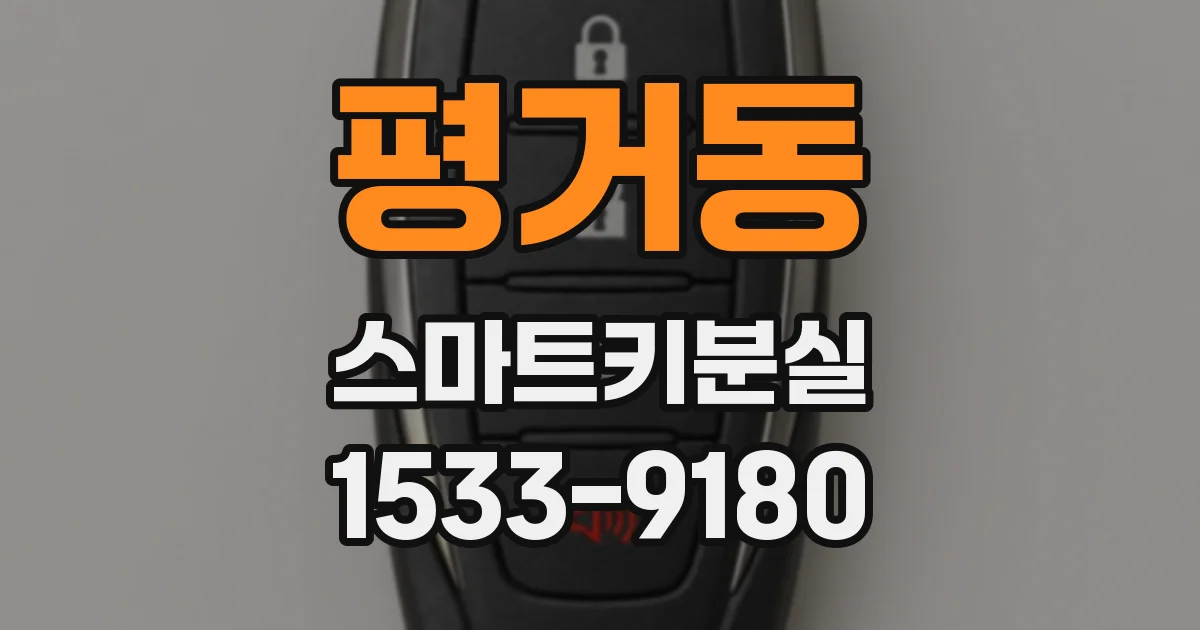 평거동 스마트키분실