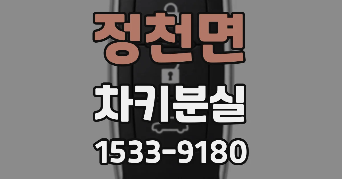 정천면 차키분실